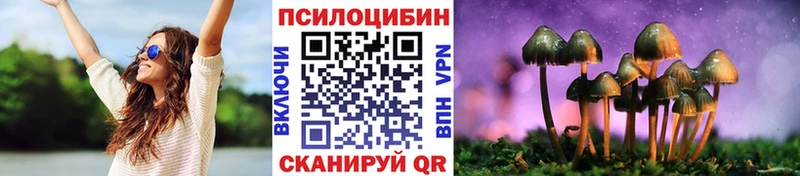 blacksprut   закладки  Знаменск  Галлюциногенные грибы Magic Shrooms 