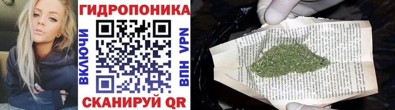где найти наркотики  Знаменск  Бошки марихуана THC 21% 